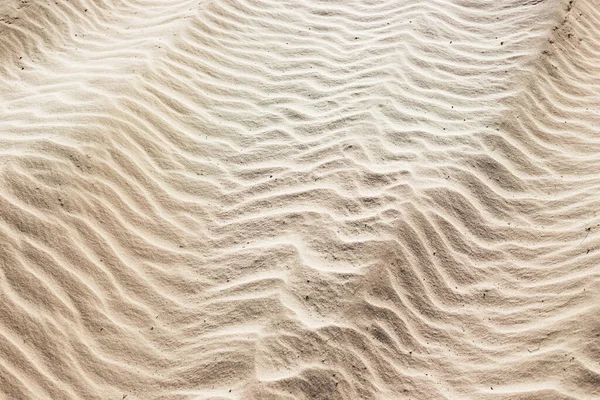 Summer Sand Background Beac — Stock Photo, Image