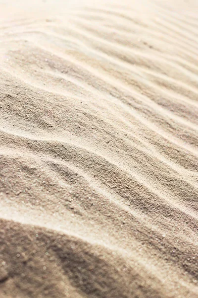 Zomer Zand Achtergrond Snavel — Stockfoto