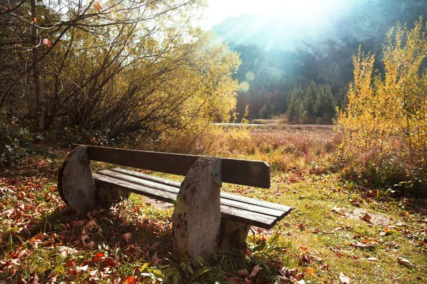 Cozy Bench Mountains Shore Mountain Lak — Stock Photo, Image