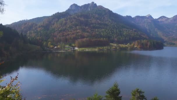 Panoráma Csendes Őszi Osztrák Világos Színű Fák Parton — Stock videók