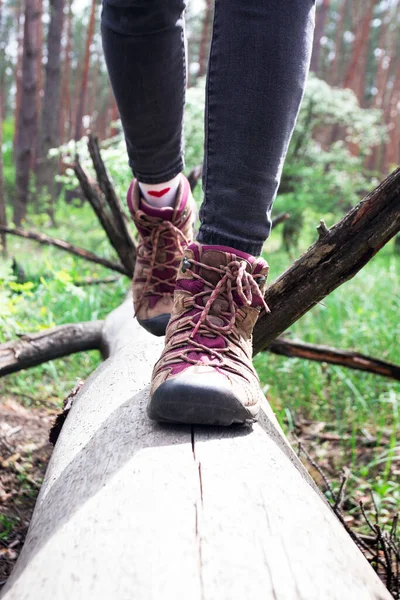 Wandelschoenen Van Dichtbij Toeristenmeisje Stapt Een Boomstam Actieve Levensstijl — Stockfoto