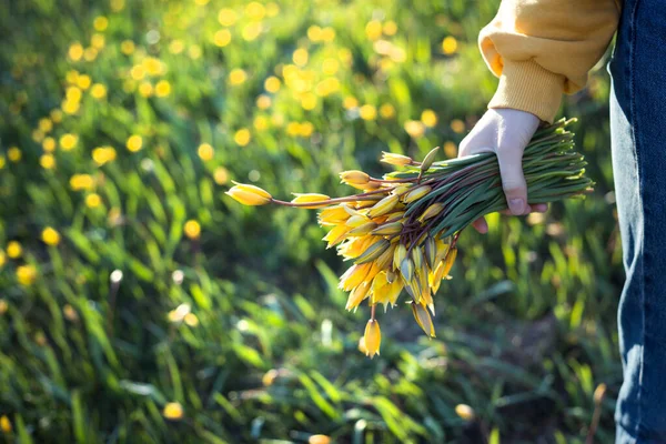 Humor Primavera Sensação Liberdade Menina Segurando Buquê Tulipa Selvagem Amarela — Fotografia de Stock