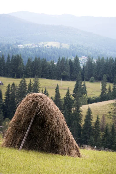 Krajina Pohled Stohy Karpatian Kopce Pozadí Vorokhta Ukrain — Stock fotografie