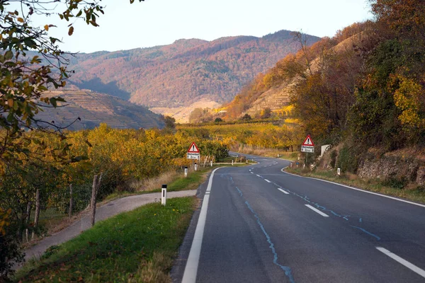Estrada Montanha Estrada Através Das Vinhas Pôr Sol Wachau Valle — Fotografia de Stock