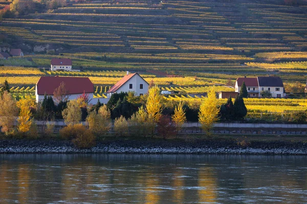 澳大利亚Wachau山谷Krems Land区多瑙河河岸Weissenkirchen澳大利亚小村秋景 — 图库照片