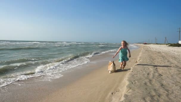 Niña Con Perro Corgi Esponjoso Una Orilla Del Mar Con — Vídeos de Stock