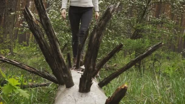 Close Uitzicht Wandelaar Meisje Wandelschoenen Wandelen Door Boomstam Het Bos — Stockvideo