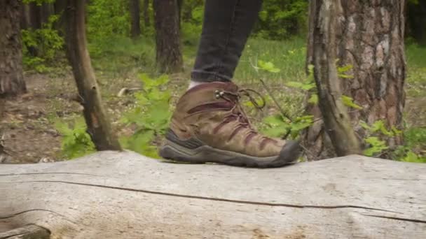 森の木の幹を歩くハイキングブーツを着たハイカーの女の子の近景 — ストック動画