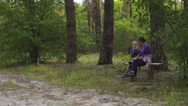 太陽の光で照らされた松林の中を歩く少女たち — ストック動画