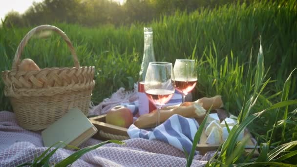 Cesta Picnic Con Comida Botella Vino Una Hierba Campo — Vídeos de Stock