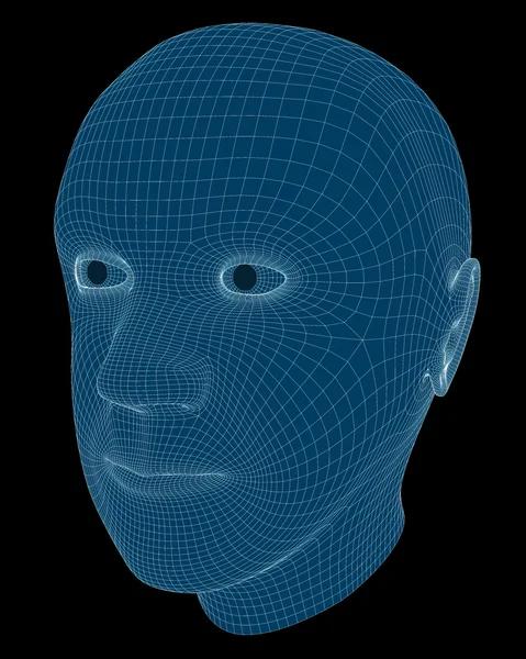 Wireframe Rendering of a Man's Head — Stock Photo, Image