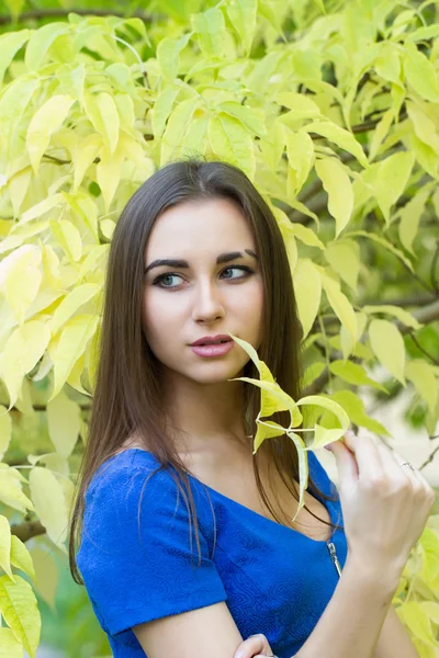 Молодая девушка на фоне желтых осенних листьев — стоковое фото