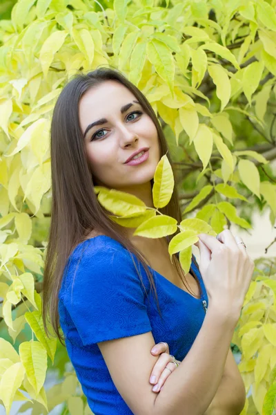 Mladá dívka na pozadí žluté podzimní listy Stock Snímky