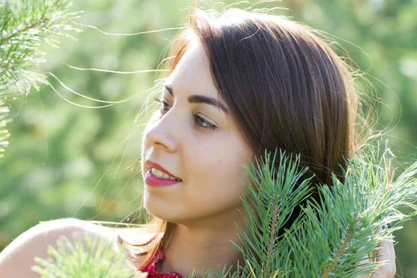 Young girl in the coniferous forest — Stock Photo, Image