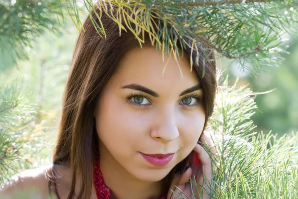 Chica joven en el bosque de coníferas — Foto de Stock