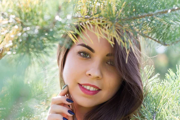 Young girl in the coniferous forest — Stock Photo, Image