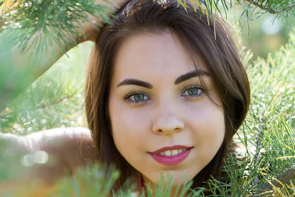 İğne yapraklı orman içindeki genç kız