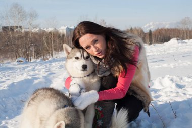 Husky köpek doğurmak orman karla kaplı bir arka plan üzerinde kızla