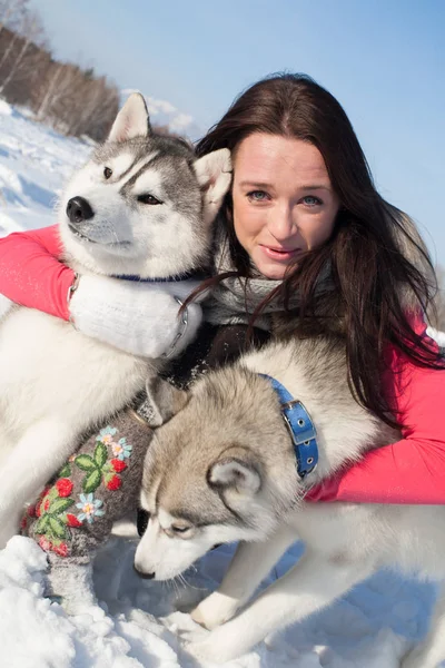 Chica con Husky perro crianza en un fondo de nieve cubierto de bosque —  Fotos de Stock