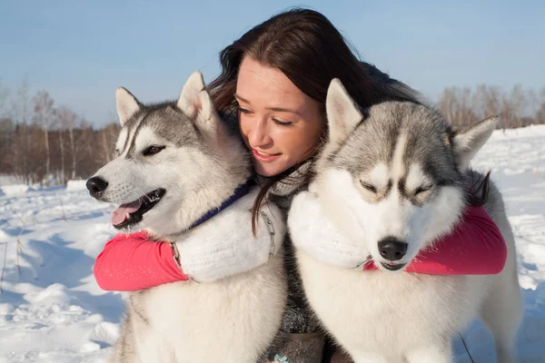 Chica con Husky perro crianza en un fondo de nieve cubierto de bosque —  Fotos de Stock