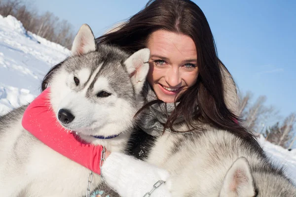 Chica con Husky perro crianza en un fondo de nieve cubierto de bosque —  Fotos de Stock