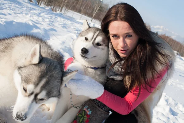 Κορίτσι με μεγαλόσωμος σκύλος φυλή σε φόντο ένα χιονισμένο δάσος — Φωτογραφία Αρχείου