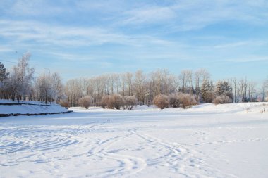 Karla kaplı orman glade izleri olan