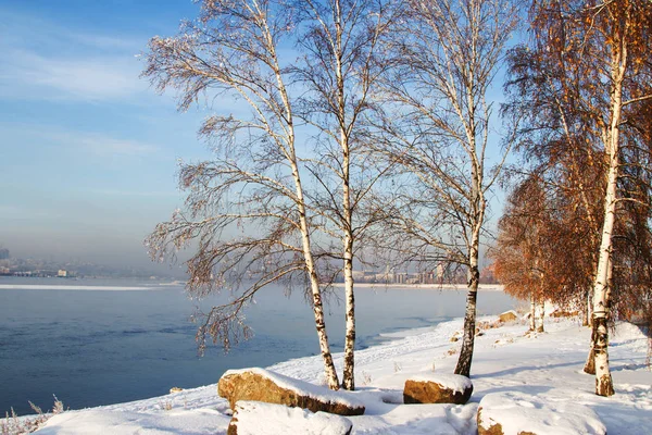 Paesaggio siberiano invernale — Foto Stock