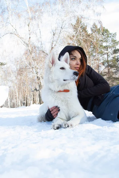 Chica con un perro pastor blanco tirado en la nieve — Foto de Stock