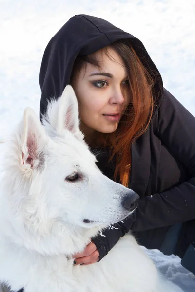 Chica con un perro pastor blanco tirado en la nieve —  Fotos de Stock