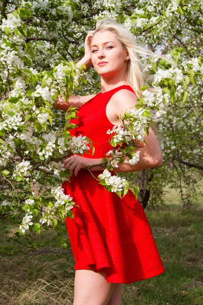 Молодая девушка на фоне цветущих яблонь в саду — стоковое фото