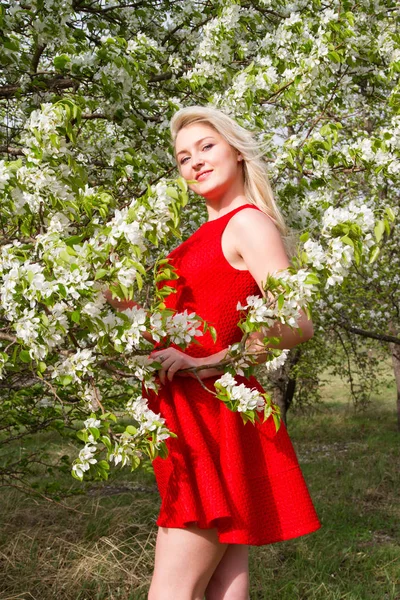 Junges Mädchen vor dem Hintergrund blühender Apfelbäume im Garten — Stockfoto