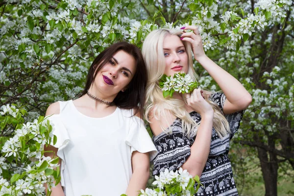 Morena y rubia sobre el fondo de los manzanos en flor —  Fotos de Stock