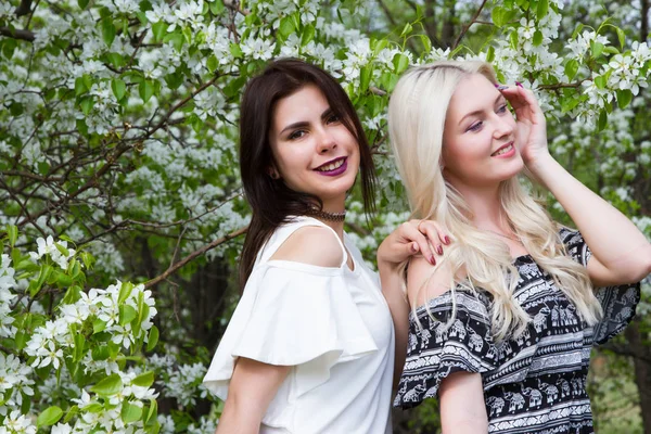 Brunette en blonde tegen de achtergrond van bloeiende appelbomen — Stockfoto