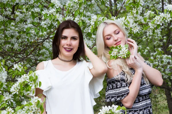 Bruneta a blondýna na pozadí rozkvetlé jabloně — Stock fotografie