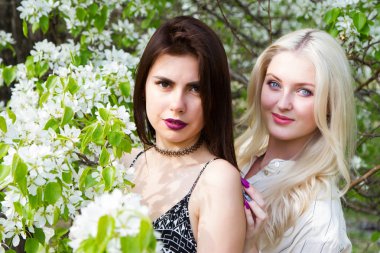 Esmer ve sarışın çiçek açması elma ağaçlarının arka planı