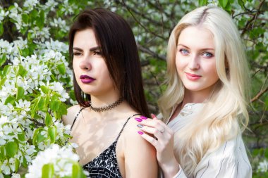 Esmer ve sarışın çiçek açması elma ağaçlarının arka planı