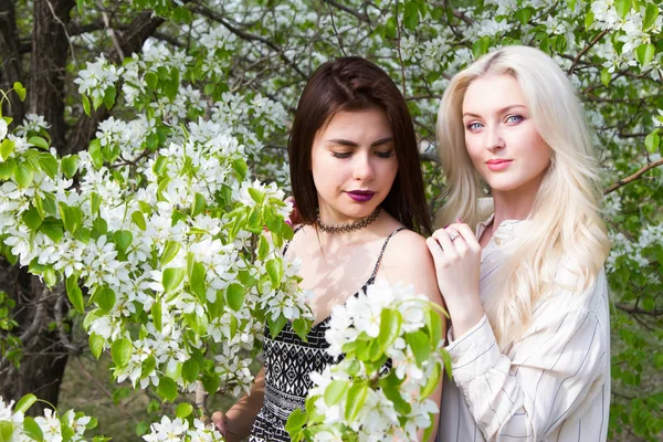Brunette and blonde against the background of blossoming apple trees — Stock Photo, Image
