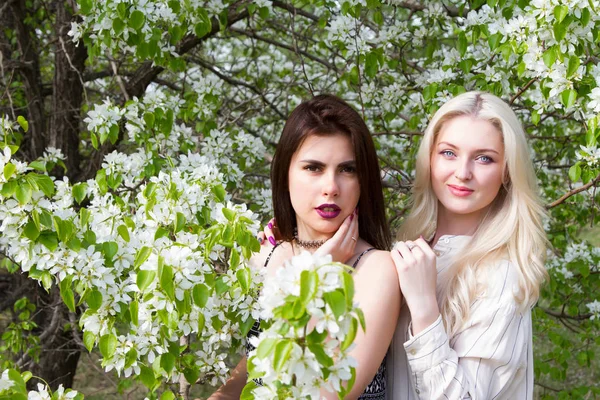 Bruna e bionda sullo sfondo di alberi di mele in fiore — Foto Stock
