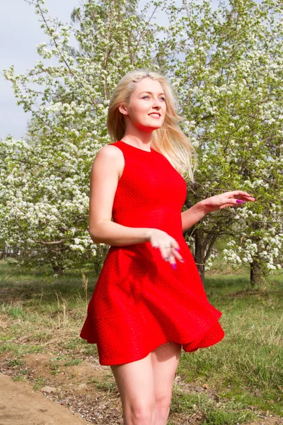 girl in a red short dress against the background of a blooming apple orchard