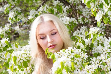 Sarışın bir çiçek açması armut dallar arasında