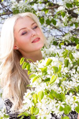 Sarışın bir çiçek açması armut dallar arasında