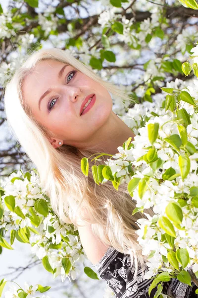 Blonde parmi les branches d'une poire en fleurs — Photo