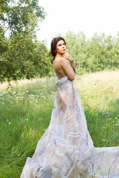 Девушка среди высоких трав и полевых цветов в длинном вечернем платье — стоковое фото