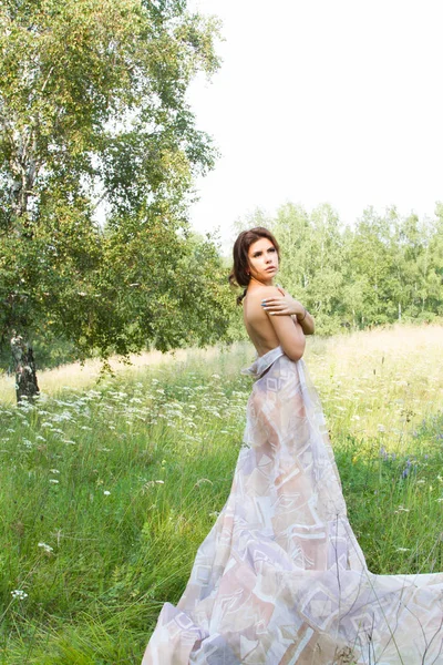 Kız uzun boylu otlar ve uzun bir gece elbisesi içinde kır çiçekleri arasında