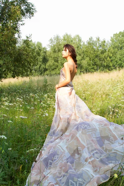 背の高いハーブや野草長いイブニング ドレスの中の女の子 — ストック写真