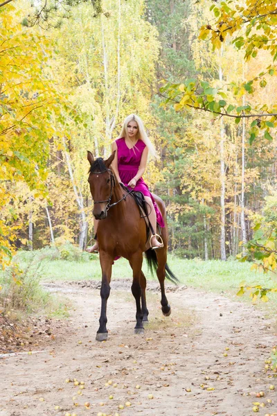 Dívka na koni v podzimním lese. Stock Fotografie