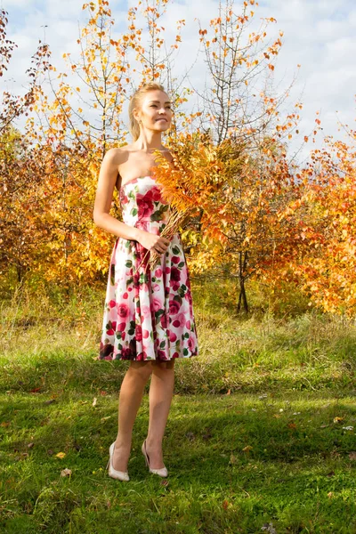 genç kız bir sonbahar ormanda yürüyor