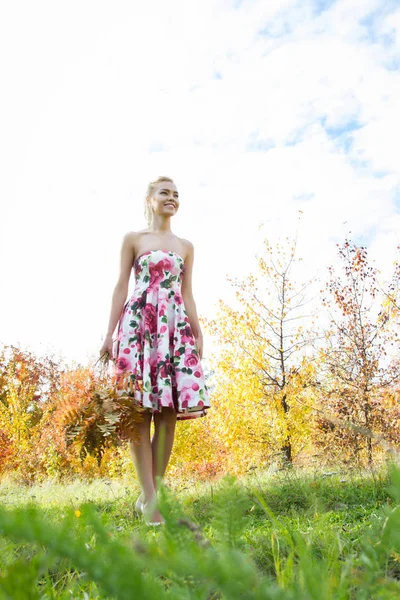 Joven chica está caminando en un bosque de otoño —  Fotos de Stock