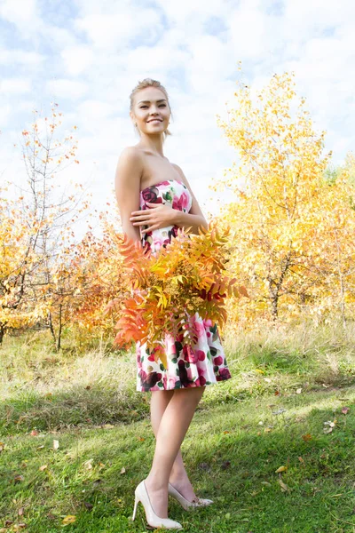 Mladá dívka je chůze v podzimním lese — Stock fotografie